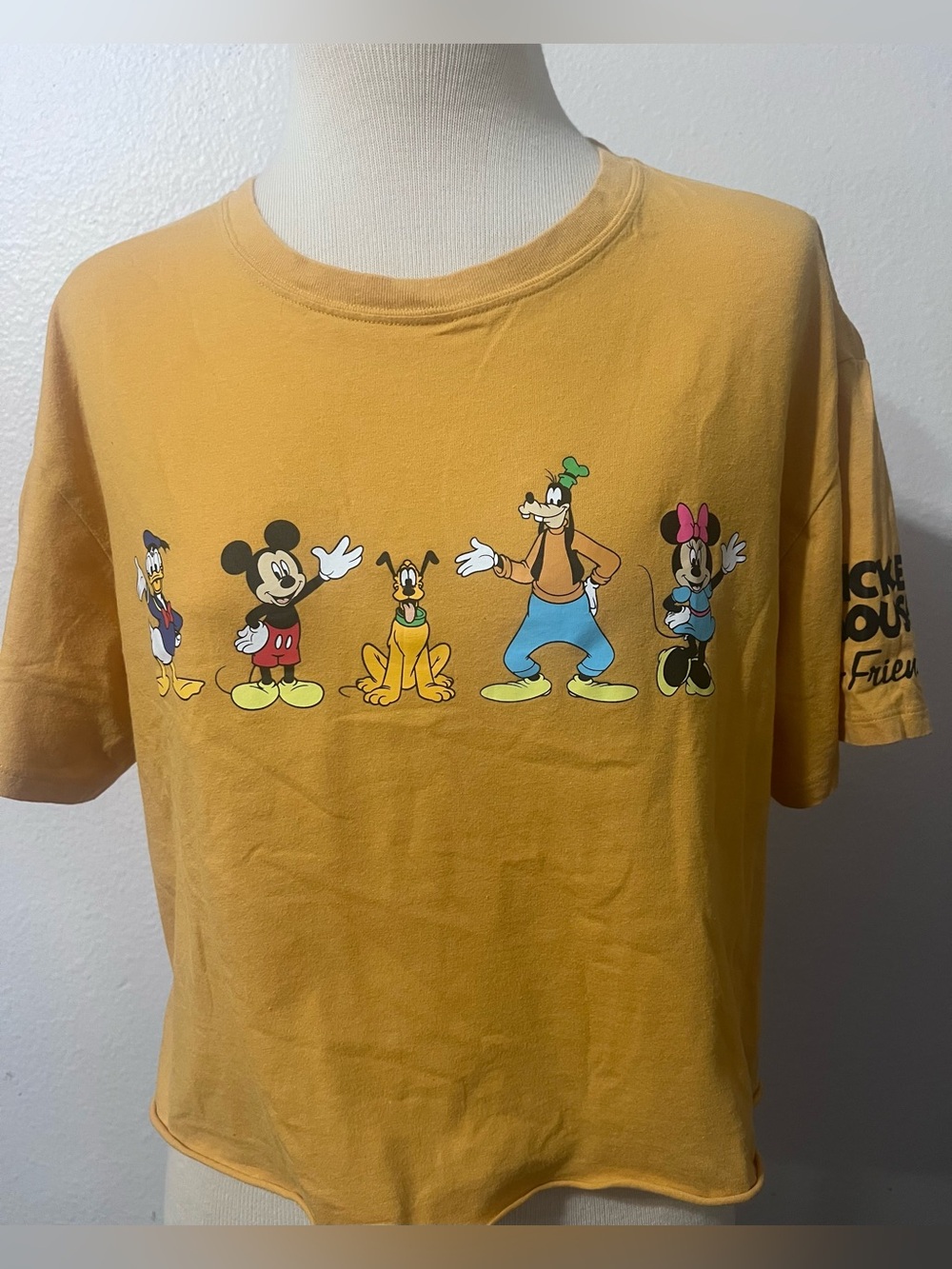 Disney Kids Mustard Yellow Disney Character Tee